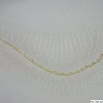 Psineček obecný, Agrostis capillaris, preparát, mikroskopie