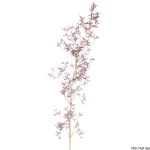 Psineček obecný, Agrostis capillaris, rostlina, květenství